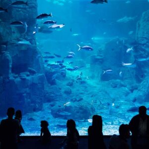 Istanbul Aquarium
