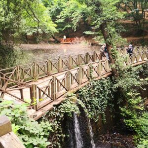 belgrad forst birdge